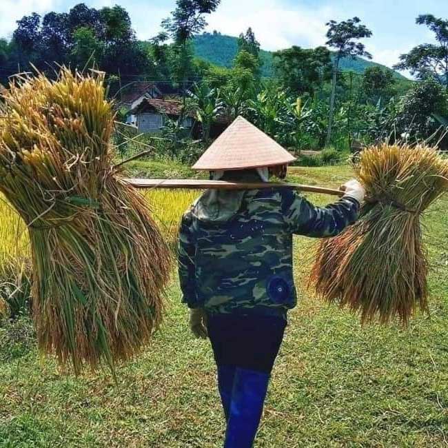 Áo điều hòa JW giảm cảm giác nóng bức và khó chịu khi làm việc ngoài trời nắng