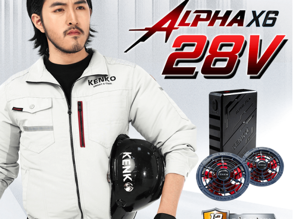 pin-quat-kenko-28v-5