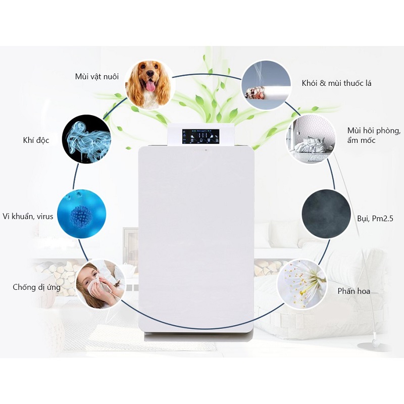 may-loc-khong-khi-va-may-hut-am-nen-mua-loai-nao-2