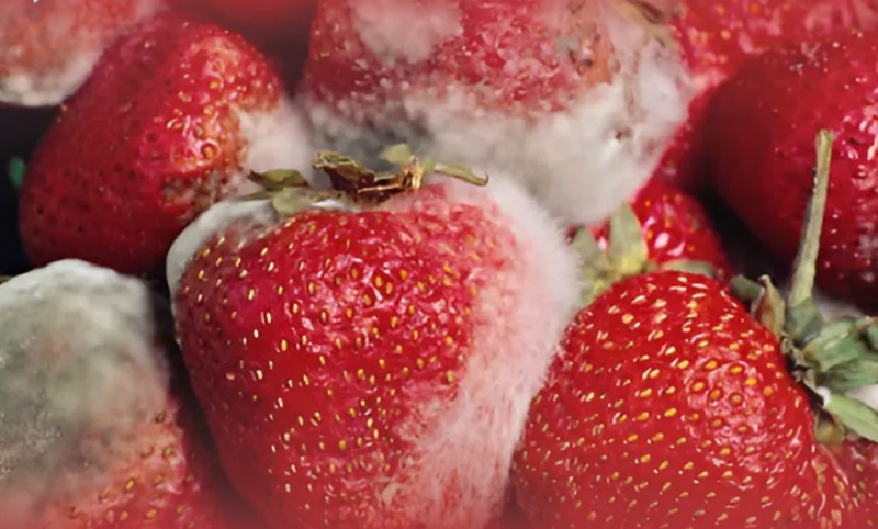 Máy hút ẩm cho hầm rượu, kho bảo quản thực phẩm