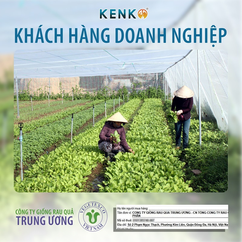 don-hang-doanh-nghiep-bung-no-khang-dinh-vi-the-dan-dau-cua-kenko-2