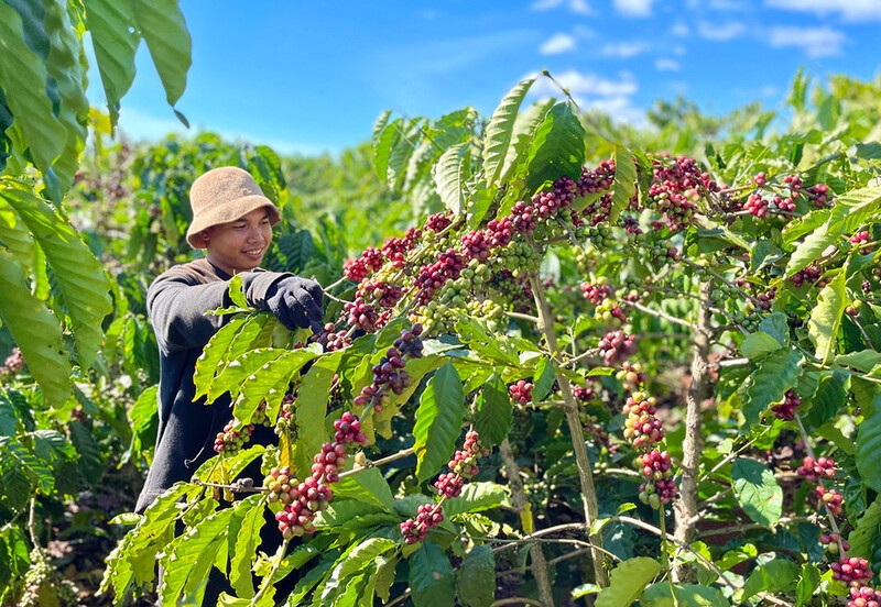 Làm việc nắng nóng ngoài trời lâu rất cần một chiếc áo điều hoà
